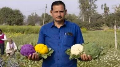 Screenshot 20260317 123033