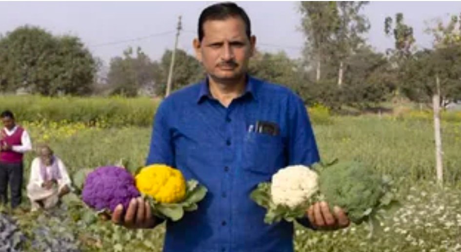 Screenshot 20260317 123033