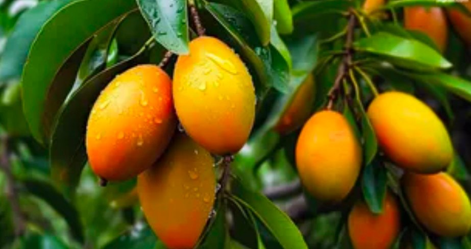 Screenshot 20260320 112707