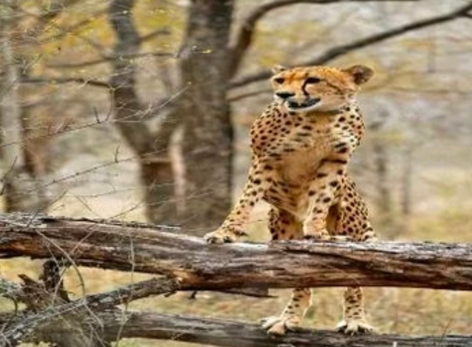 Screenshot 20260404 140248