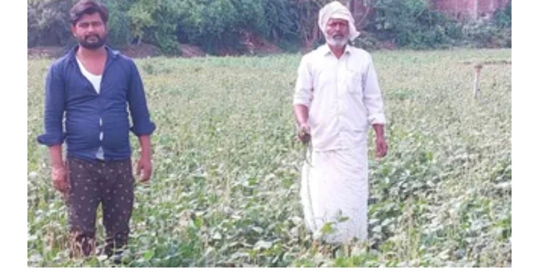 खेती ने बदली किस्मत: भोजपुर के किसान ने पट्टे पर जमीन लेकर बनाई नर्सरी, सब्जी से सालाना कमा रहे लाखों रुपए 1 Screenshot 20260406 132437