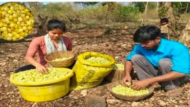 Screenshot 20260412 070455