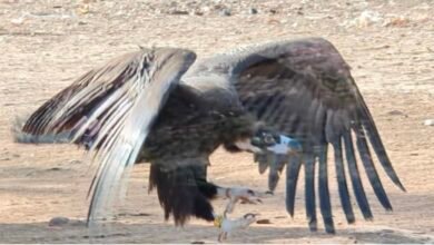 Screenshot 20260413 072355