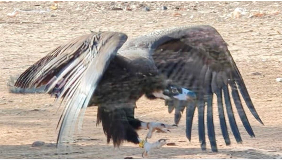 Screenshot 20260413 072355