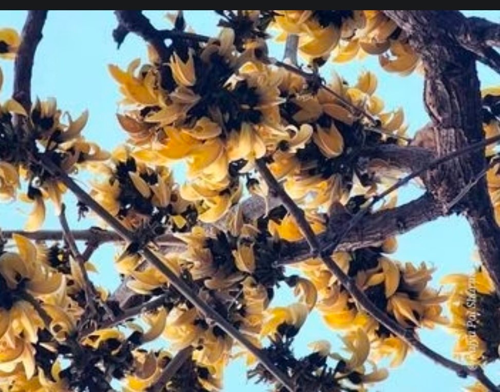 Screenshot 20260413 074235