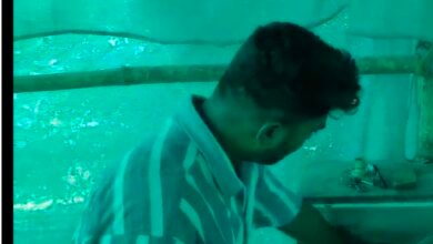 Screenshot 20260426 115624