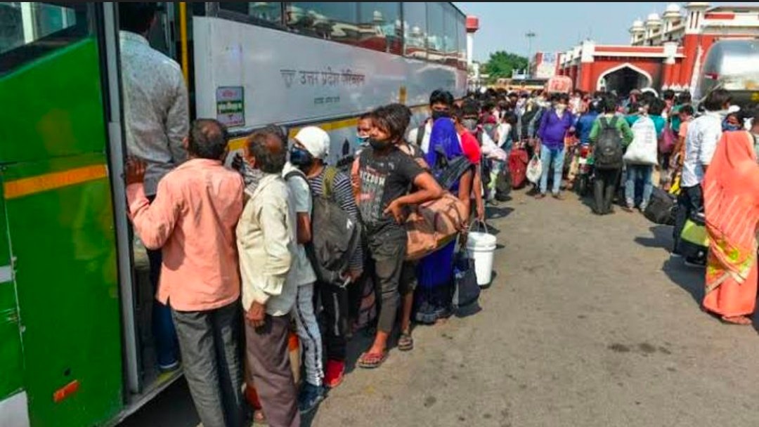 बिना टिकट 59 यात्रियों को ले जाना भारी पड़ा, इलाहाबाद हाईकोर्ट ने बस कंडक्टर की बर्खास्तगी बरकरार रखी 1 Screenshot 20260426 150448
