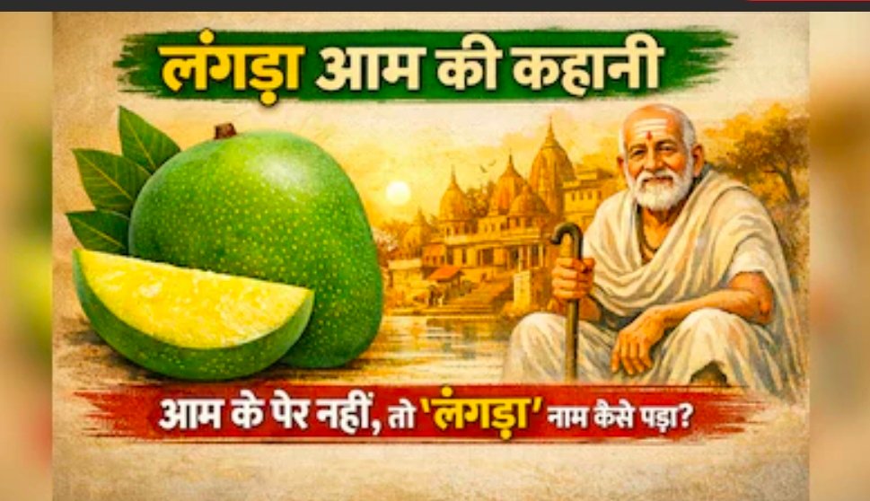लंगड़ा आम की कहानी: जब आम के पैर नहीं होते, तो फिर ‘लंगड़ा’ नाम कैसे पड़ा? 1 Screenshot 20260427 212536