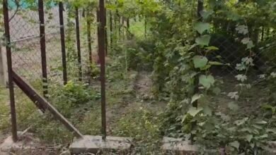 खेती की यह तकनीक बदल देगी किसान की किस्मत, एक्सपर्ट ने जानिए फायदे 5 Screenshot 20260428 203058