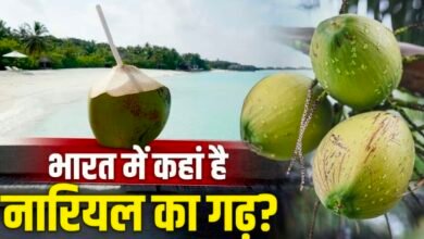 : न केरल, न तमिलनाडु, देश को सबसे ज्यादा नारियल देने वाला राज्य कौन सा? वियतनाम तक डिमांड 3 Screenshot 20260428 221409