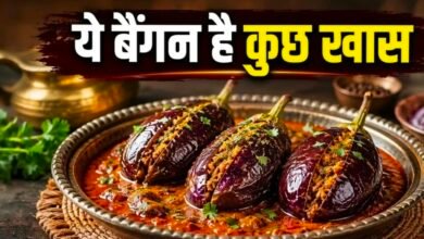 रोज की दाल खा-खाकर हो गए बोर? अब बनाएं कुटे मसालों वाले भरवां बैंगन, स्वाद ऐसा कि पड़ोसी भी पूछेंगे रेसिपी 4 Screenshot 20260608 080425