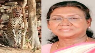 कूनो में चीते निहारेंगी राष्ट्रपति द्रौपदी मुर्मू, 1200 जवानों के साथ सुरक्षा घेरे में इलाका 2 Screenshot 20260622 132649