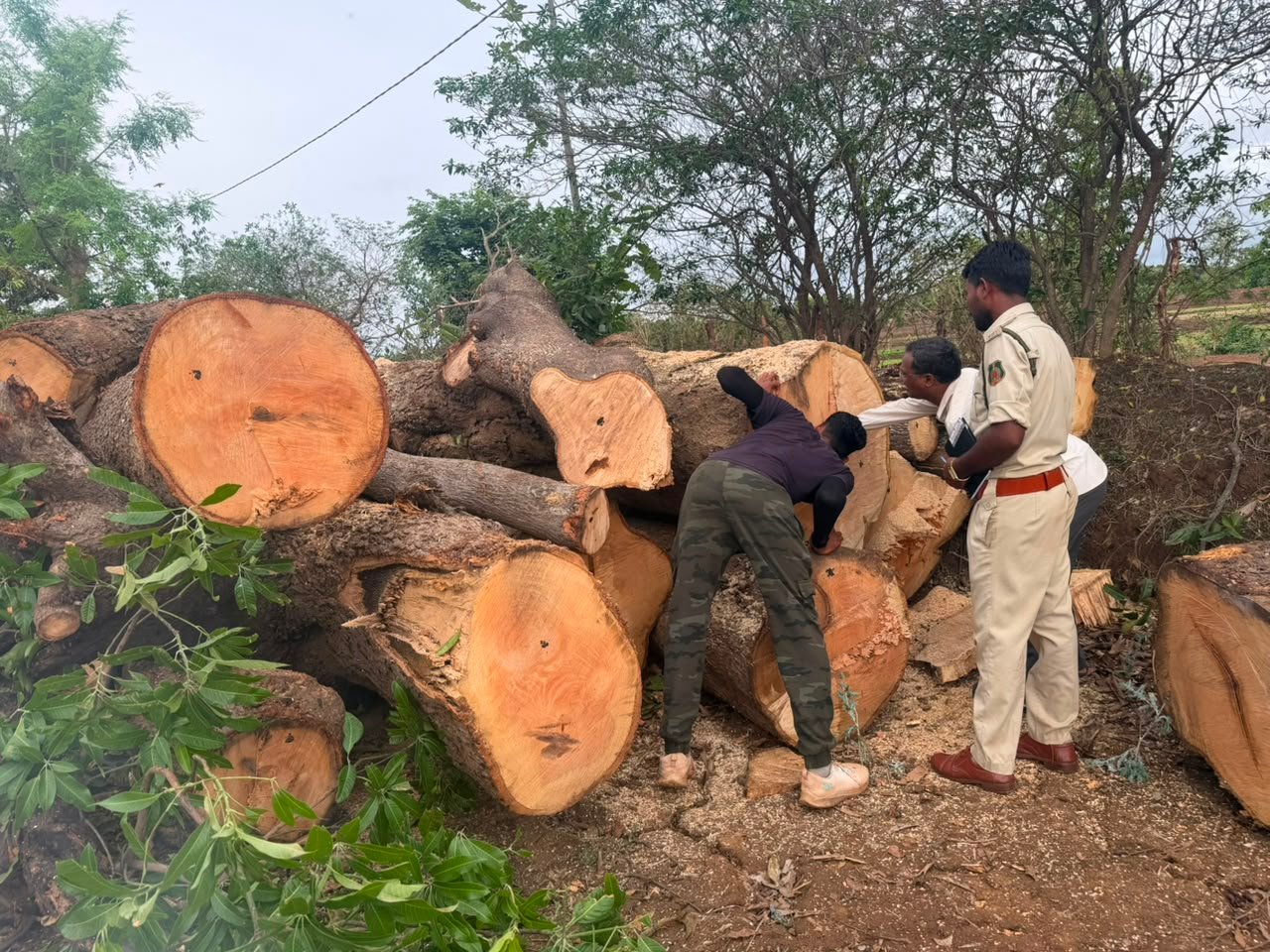 राजस्व, वन एवं पुलिस विभाग की संयुक्त कार्रवाई में ट्रक और क्रेन जब्त 1 IMG 20260703 WA0018