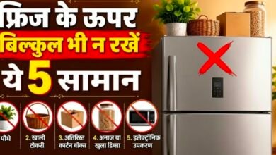 वास्तु शास्त्र: फ्रिज के ऊपर बिल्कुल भी न रखें ये 5 सामान, घर में बढ़ सकती है नकारात्मक ऊर्जा 4 Screenshot 20260720 132820