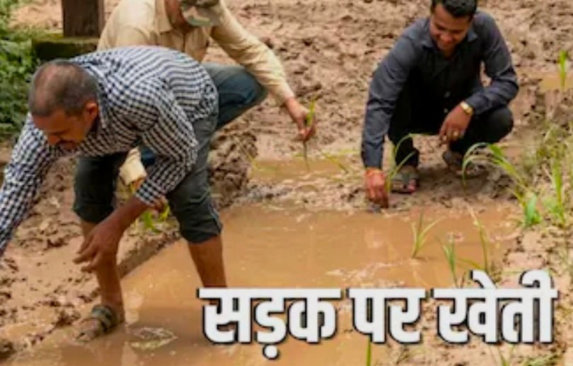 भोपाल की 25 साल पुरानी कॉलोनी सड़क को तरसी, 2 बार भूमिपूजन के बाद भी नहीं बनी, लोगों ने रोप दिया धान 1 Screenshot 20260727 113453