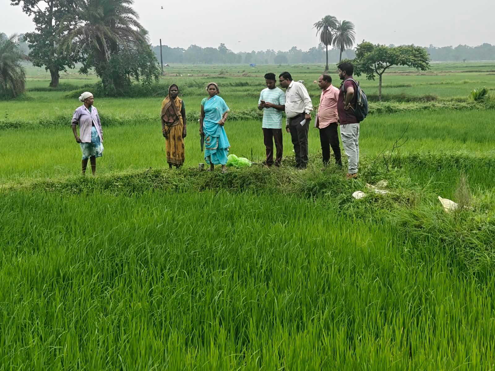 डिजिटल क्रॉप सर्वे को मिली गति, तीन गांवों में निरीक्षण के बाद कार्य में तेजी 1 636 1