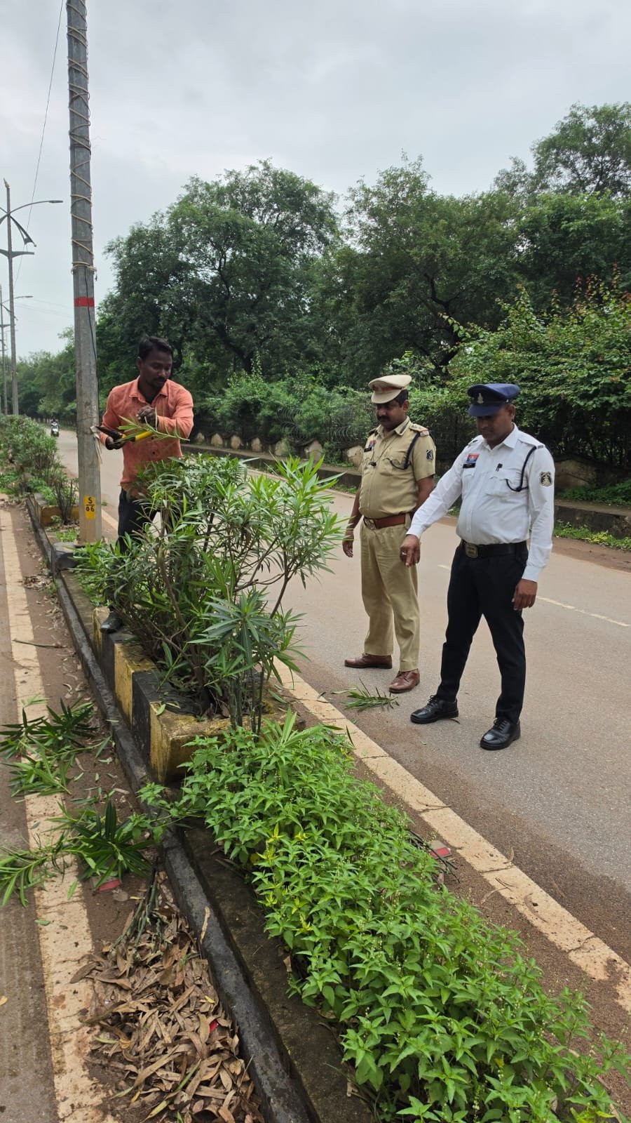 कलेक्ट्रेट रोड के डिवाइडर पर पौधों की छंटाई, कबीरधाम यातायात पुलिस एवं नगरपालिका की संयुक्त पहल से बढ़ी सड़क की विजिबिलिटी।* 1 IMG 20260818 WA0014