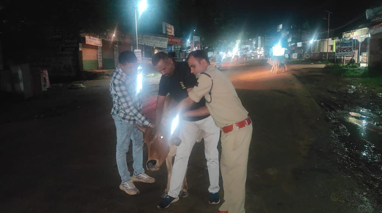 रात में हादसों का कारण बन रहे गौवंश को अब दूर से पहचानेंगे वाहन चालक, पोडी पुलिस ने बांधे रेडियम बेल्ट”* 1 IMG 20260822 WA0015