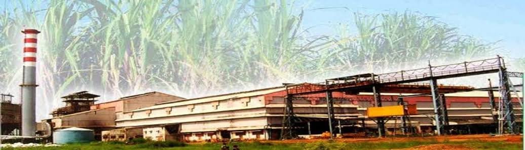 सेवा संकल्प अभियान: किसानों की समृद्धि और क्षेत्रीय अर्थव्यवस्था का मजबूत आधार बना भोरमदेव सहकारी शक्कर कारखाना 1 IMG 20260917 WA0024
