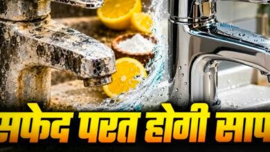 खारे पानी के जिद्दी दागों से हैं परेशान? नल और टॉयलेट की पीली-सफेद परत मिनटों में चमकाएगा ये खट्टा पाउडर 5 Screenshot 20260925 123249