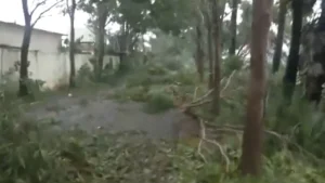 आंध्र प्रदेश के तट से टकराया चक्रवात अर्बन, 135 की रफ्तार से हवाएं, जगह-जगह पेड़ गिरे 1 Oct 26 429 300x169 j2VBup